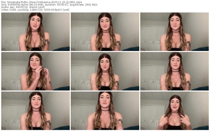 streamate-inkkarma-11-25-2025-21-28-51