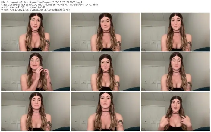streamate-inkkarma-11-25-2025-21-28-51