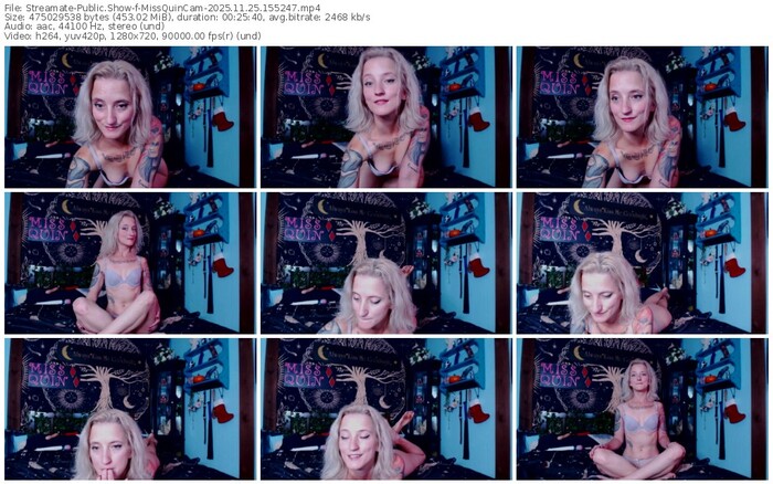 streamate-missquincam-11-25-2025-15-52-47