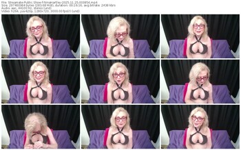 streamate-ninahartley-11-25-2025-00-38-54