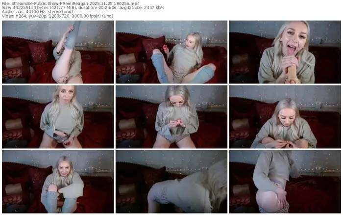 streamate-remireagan-11-25-2025-19-02-56