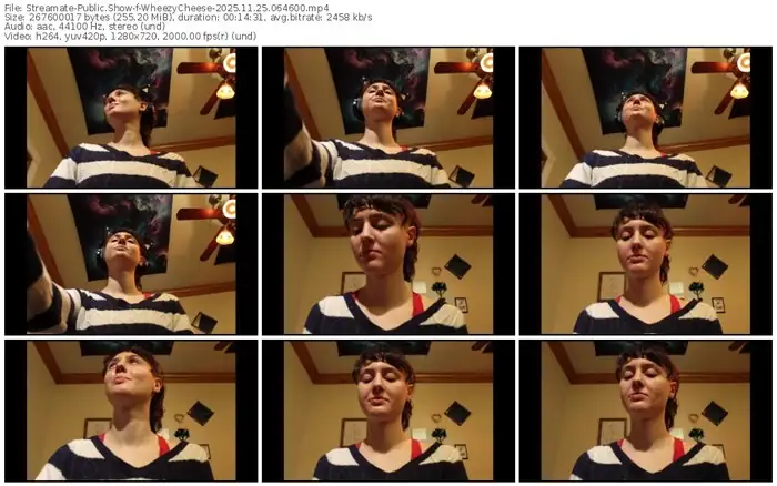 streamate-wheezycheese-11-25-2025-06-46-00