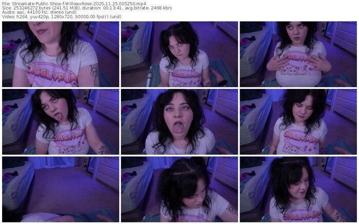 streamate-willowxrose-11-25-2025-00-52-50