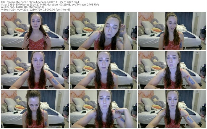 streamate-ceceeee-11-25-2025-01-28-22