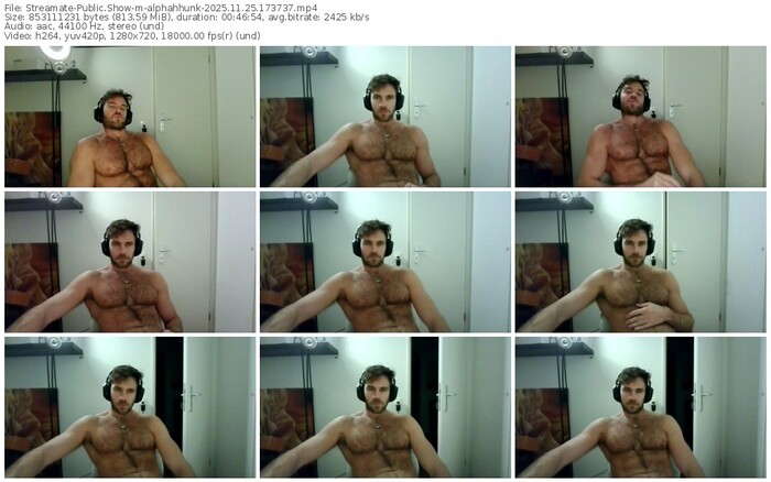 streamate-alphahhunk-11-25-2025-17-37-37