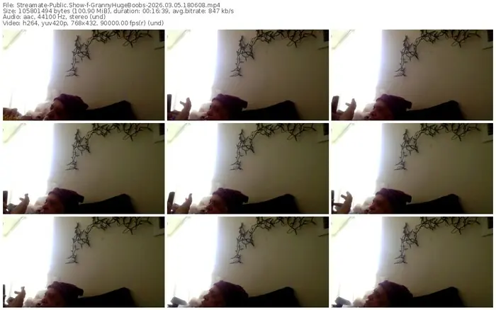 streamate-grannyhugeboobs-03-05-2026-18-06-08
