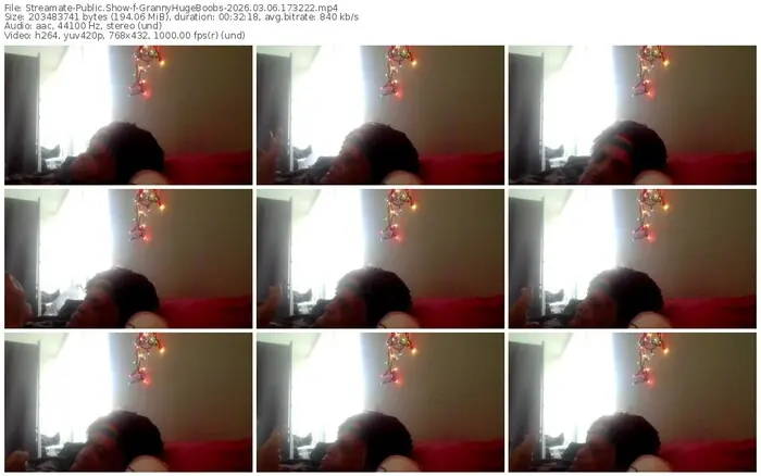 streamate-grannyhugeboobs-03-06-2026-17-32-22