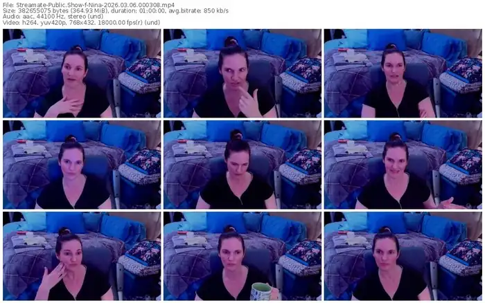 streamate-nina-03-06-2026-00-03-08