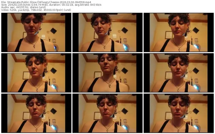 streamate-wheezycheese-03-06-2026-09-45-58