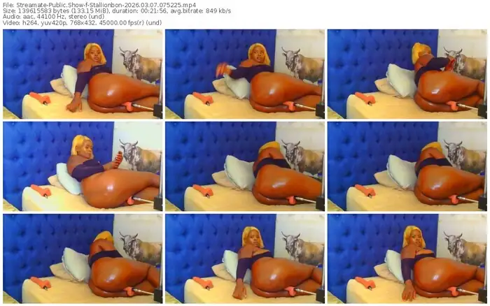 streamate-stallionbon-03-07-2026-07-52-25