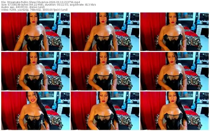 streamate-evavice-03-10-2026-21-37-56