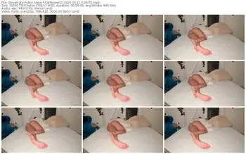 streamate-katreesexo-03-11-2026-03-40-55