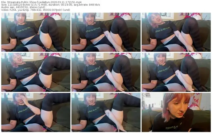 streamate-ledabun-03-11-2026-17-21-51