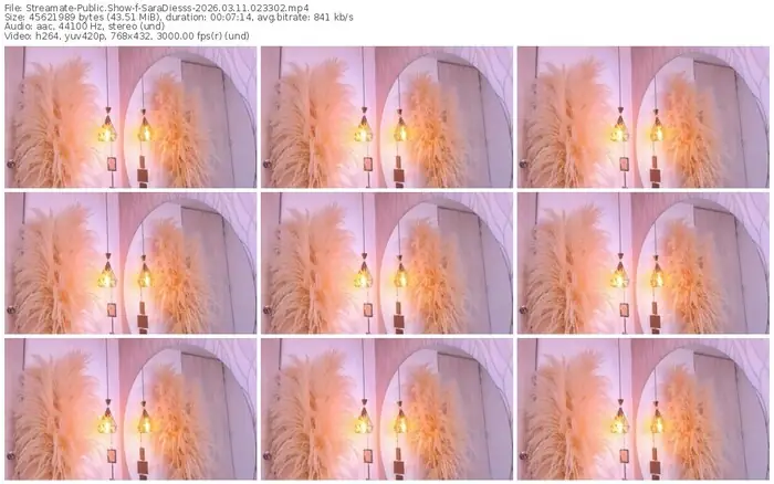 streamate-saradiesss-03-11-2026-02-33-02