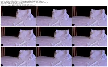 streamate-xshinelanax-03-11-2026-05-24-32