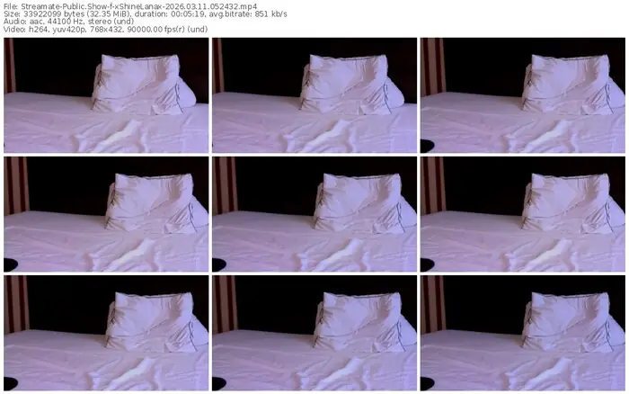 streamate-xshinelanax-03-11-2026-05-24-32