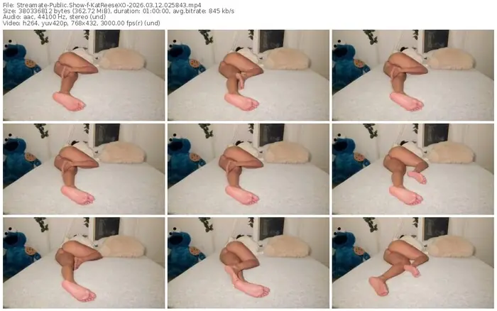streamate-katreesexo-03-12-2026-02-58-43