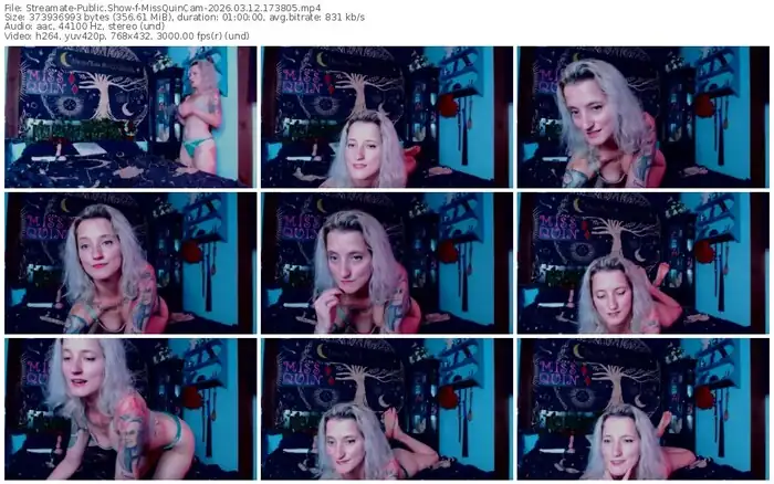 streamate-missquincam-03-12-2026-17-38-05