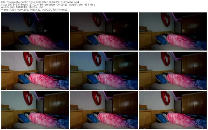 streamate-hesster-03-13-2026-05-54-34