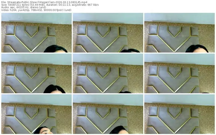 streamate-meganclars-03-13-2026-08-31-45