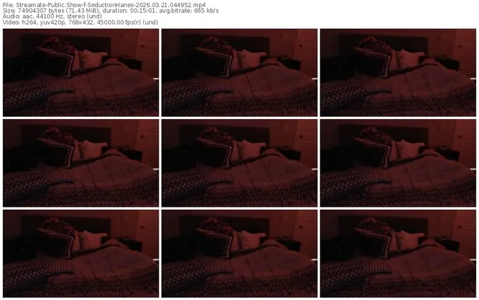 streamate-seductionhanes-03-21-2026-04-49-52