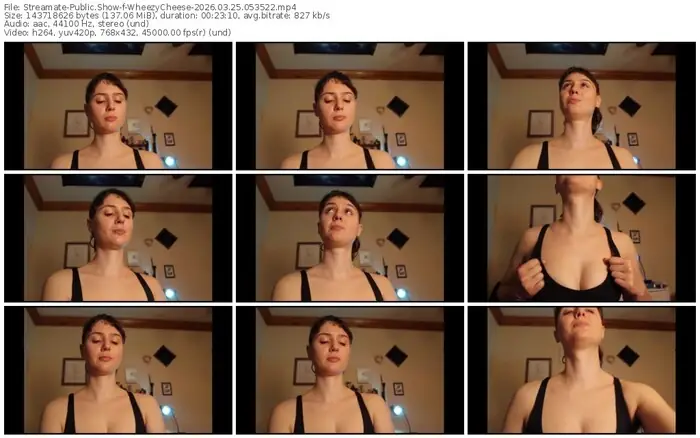 streamate-wheezycheese-03-25-2026-05-35-22