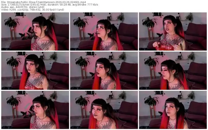 streamate-sammansoon-03-26-2026-02-46-01