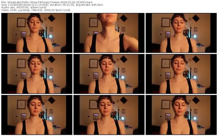 streamate-wheezycheese-03-26-2026-22-34-53
