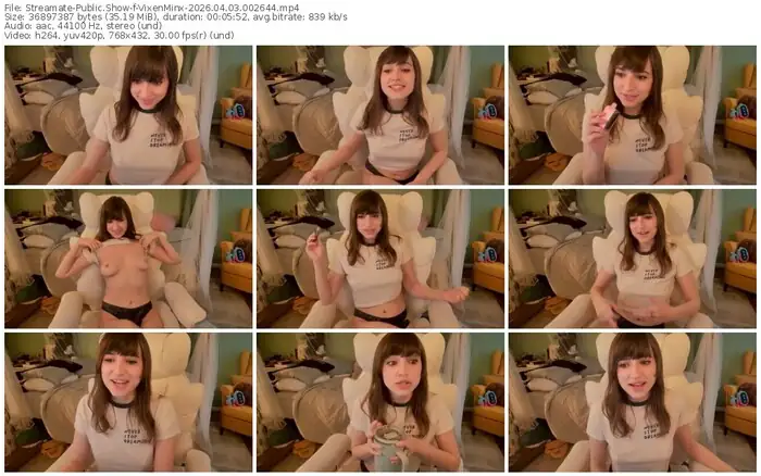 streamate-vixenminx-04-03-2026-00-26-44