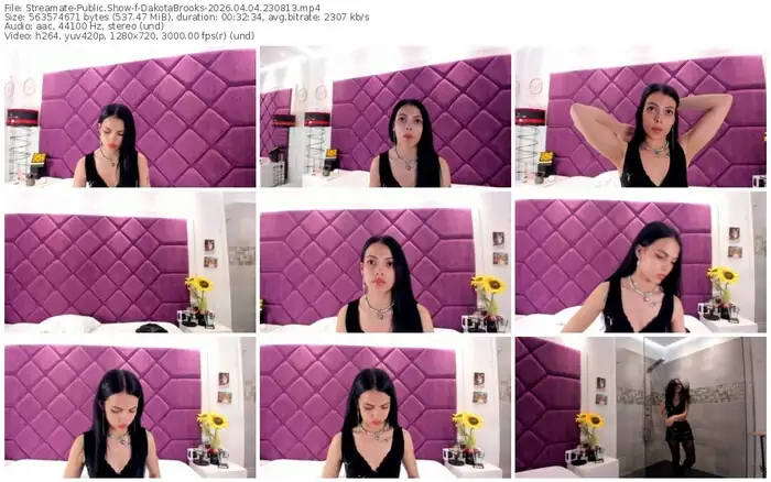 streamate-dakotabrooks-04-04-2026-23-08-13