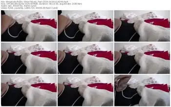 streamate-busty_pam-04-09-2026-11-42-06