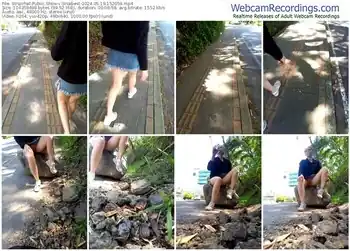 stripchat-snaibest-05-19-2024-15-20-59