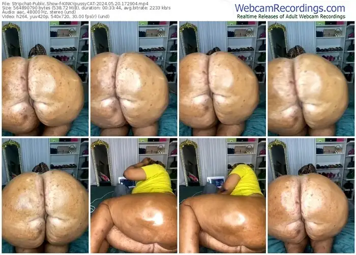 stripchat-kinkypussycat-05-20-2024-17-29-04