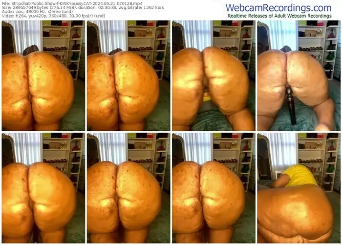 stripchat-kinkypussycat-05-21-2024-07-01-28