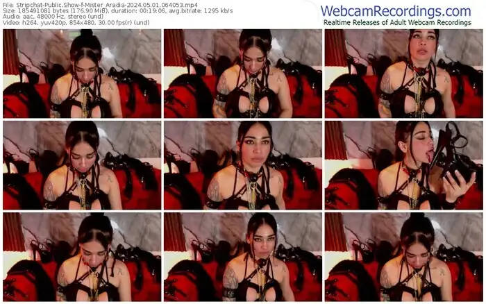 stripchat-mister_aradia-05-01-2024-06-40-53