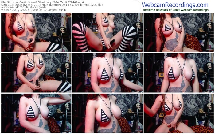 stripchat-silentmary-05-16-2024-02-24-49