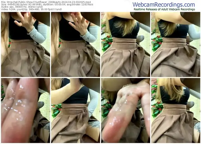 stripchat-sunflower_2368sayhi-04-23-2024-03-20-25