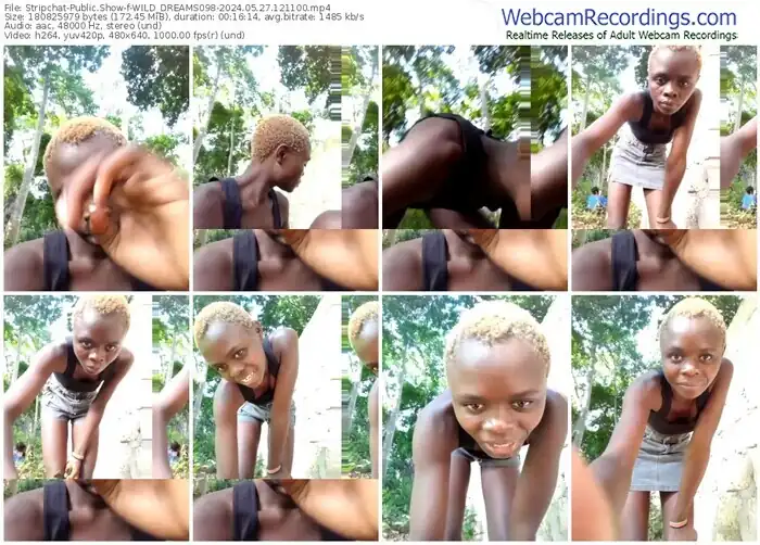 stripchat-wild_dreams098-05-27-2024-12-11-00