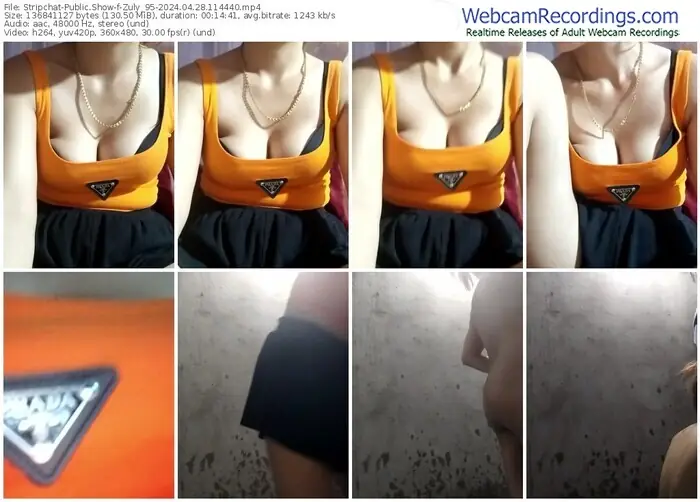 stripchat-zuly_95-04-28-2024-11-44-40