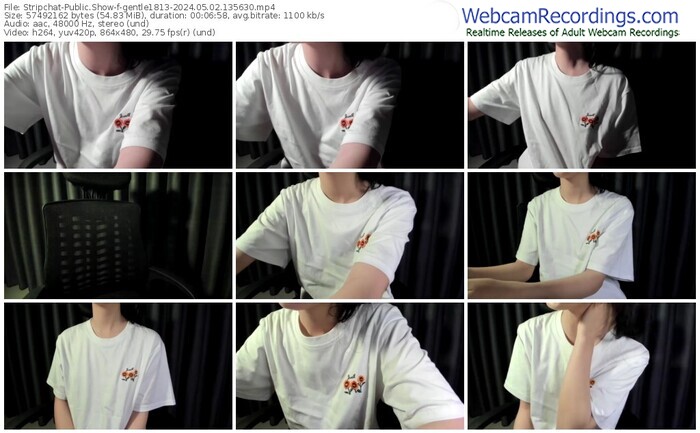 stripchat-gentle1813-05-02-2024-13-56-30