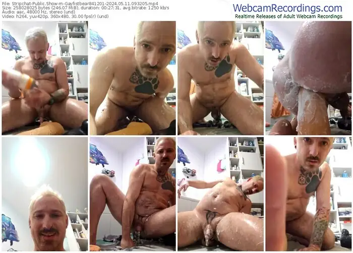 stripchat-gayfistbear841201-05-11-2024-09-32-05