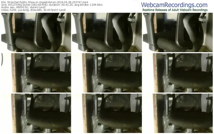 stripchat-gigadickman-04-28-2024-23-37-47
