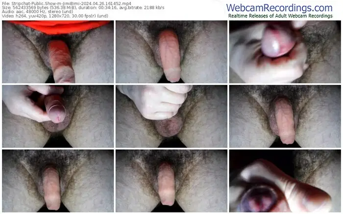 stripchat-jimibimi-04-26-2024-16-14-52