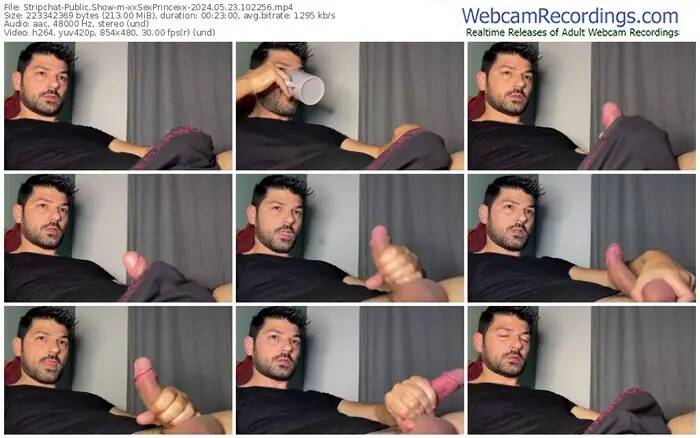 stripchat-xxsexprincexx-05-23-2024-10-22-56