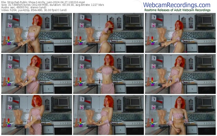 stripchat-archy_lein-04-27-2024-10-02-10