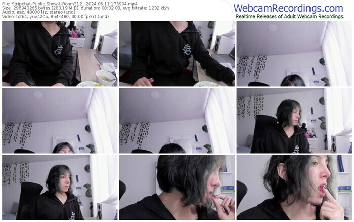 stripchat-room312_-05-11-2024-17-39-04