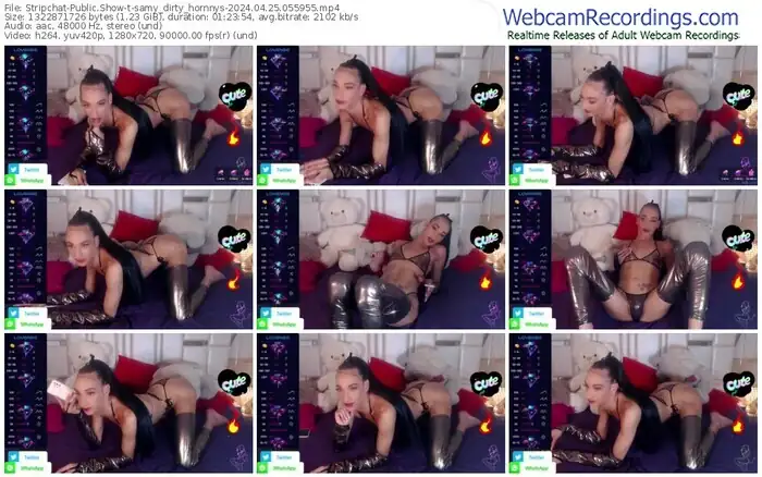 stripchat-samy_dirty_hornnys-04-25-2024-05-59-55