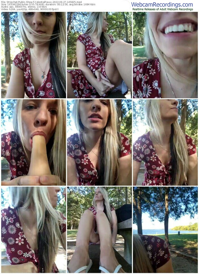 stripchat-celestialfoxxx-09-27-2022-14-58-25