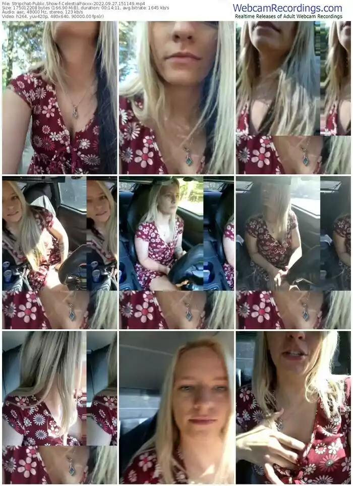 stripchat-celestialfoxxx-09-27-2022-15-11-49