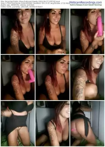 stripchat-allyson22andy-09-27-2022-23-57-42